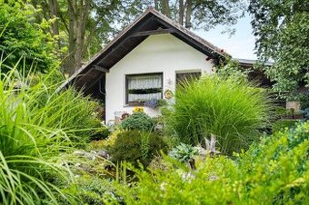 Prodám chatu se zahradou v Bělé pod Bezdězem