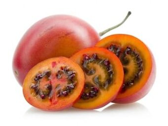 Sazenice Tamarillo - 1
