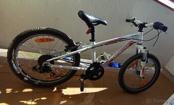 Specialized "20"