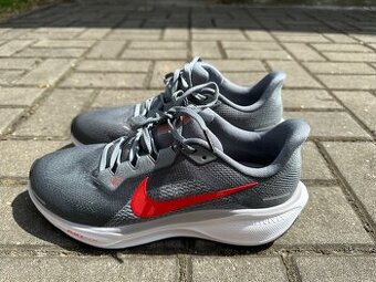 Nike Pegasus 41