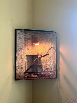 Terarium rohové - 1