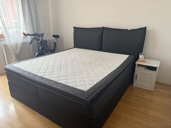 postel Boxspring