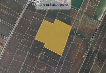 Prodej podílu 1/2 pole 1 169 m², Razová, ev.č. 2025-09-01-4