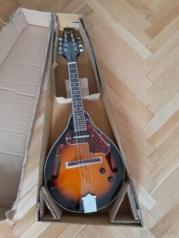 Elektroakustická mandolína