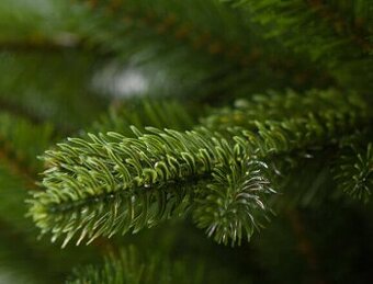 NOVÝ - 3D Smrk sibiřský 150cm