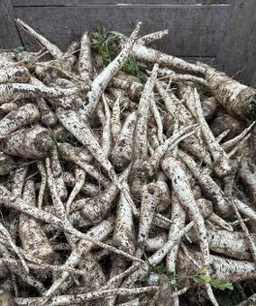 Čerstvá petržel v boxu 350kg