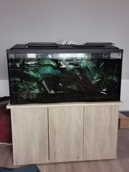 Akvarium 240l - 1