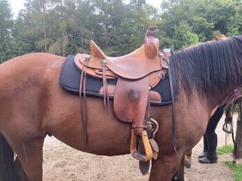 Westernové sedlo značky WESTJACK