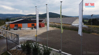 Pronájem skladu, 750 m², Těšovice