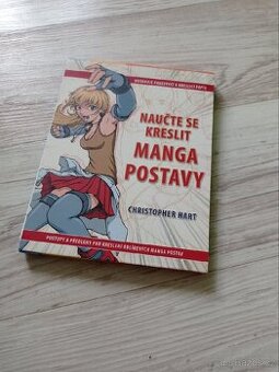 Naučte se kreslit manga postavy
