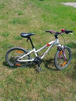 Kolo Specialized Hotrock 20 (1x6 převodů)