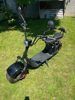 EcoWheel E-chopper