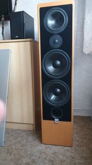 Canton ERGO RC-L + control unit