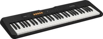 Keyboard/klávesa Casio CT-S100 (Holice)