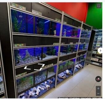 Prodej akvarijní stěny