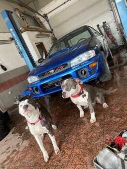 Koupím Subaru