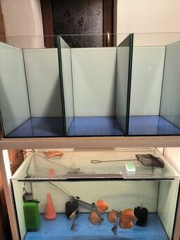 Akvarijní set. - 1