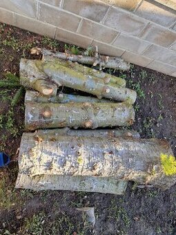 Smrk stříbrný, dřevo na topení.