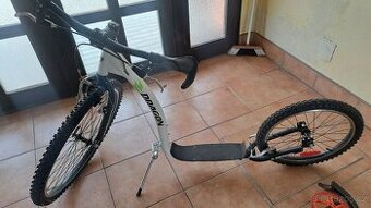 Koloběžka Quick Dragon