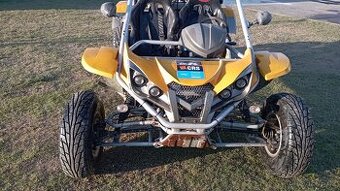 Buggy  500