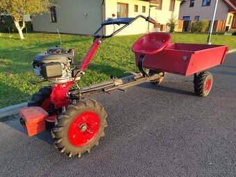nabídněte TERA VARI AGZAT DAKR
