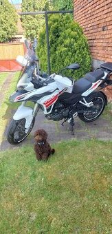 Benelli TRK 251 - 1