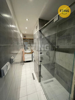 Pronájem bytové jednotky 2+kk 40 m² ulice Jana Šverm, 132963