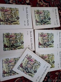 Školák Kája Mařík