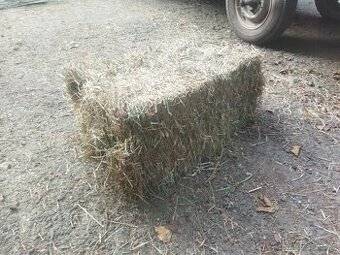Malé hranaté balíky sena - 8kg( průměrný)balík za 56Kč