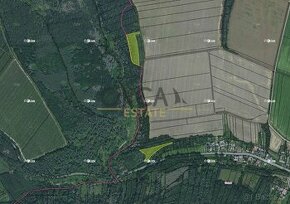 Aukce 0,74 ha lesa v k.ú. Cakov - 1