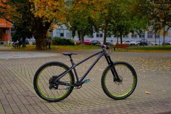 Dartmoor Primal 29