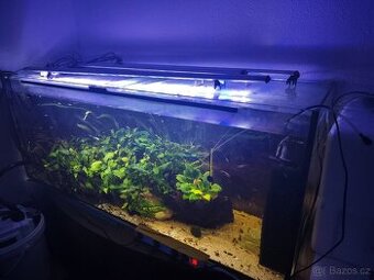 Akvárium 450 litrů