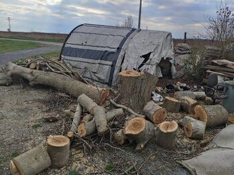 Prodám palivové dřevo Ořech
