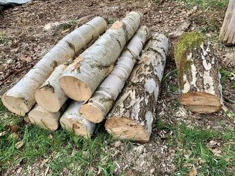 Palivové dřevo 900,-kč za prmr