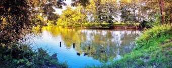 Prodej domu 4+kk • 110 m² bez realitky Nupaky (u Prahy)