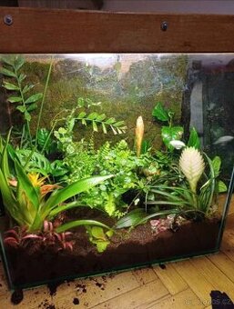 Akvarium/Florarium/Terarium