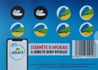 Albert body Niceboy - 1