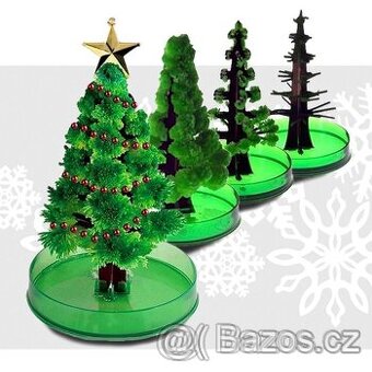 Rostoucí vánoční stromek