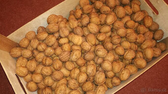 Vlašské ořechy - papíráky