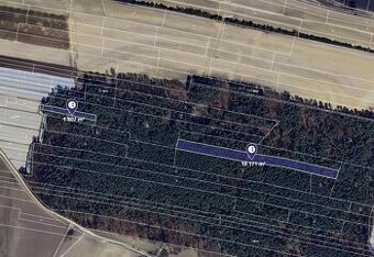 Prodej lesa v k.ú. Stará Lysá, ev.č. 2026-03-23-064234