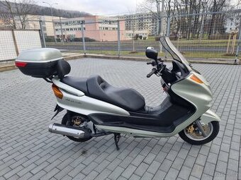 Yamaha Majesty 250 - 1