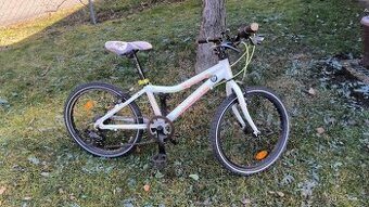 Prodám Core Nipper 20"