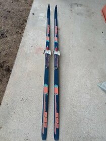 Běžky Polar délka 200 cm