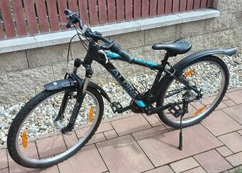 Dětské horské kolo Alpina Eco M10