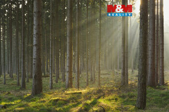 Prodej lesa, 6740 m², Kralovice