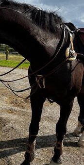 Kožený poprsník KENTAUR Palermo – hnědý