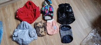 Yorkshire teriér oblečení