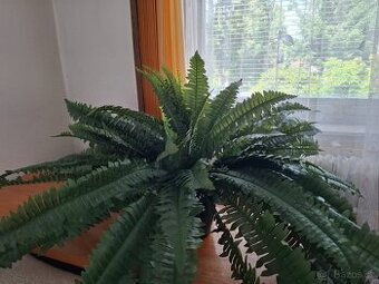 Umělá rostlina Kapradí Boston Gigant (95cm)