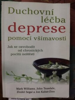 Duchovní léčba deprese pomocí všímavosti
