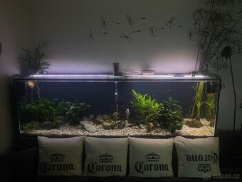 Akvárium 200x50x60 600 L s železnou podstavou